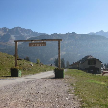 Chalet Francesca Patascoss Apartment Madonna di Campiglio Luaran gambar